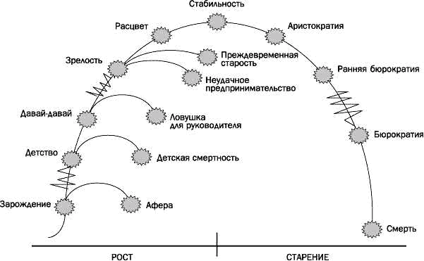 Этапы развития организации